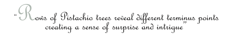 pistachio-grove_text_rows-of-pistachio